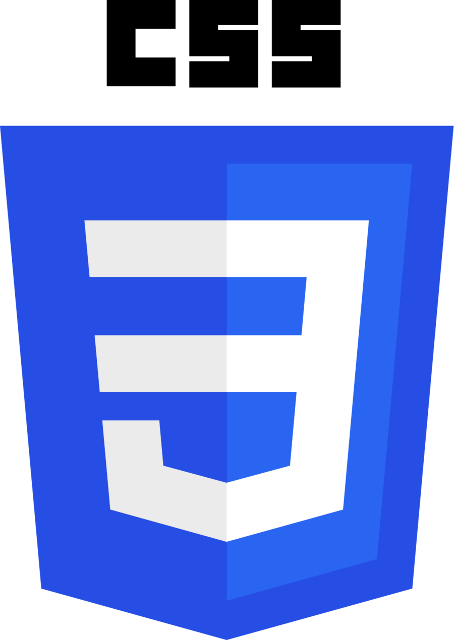 CSS epnets